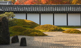 风景