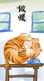 萌主猫            