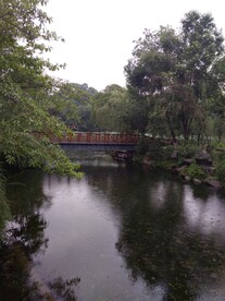 桂湖公园