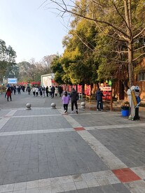 成都动物园 