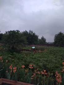 新都桂湖公园