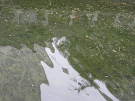 水面