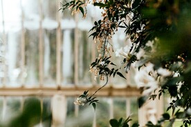 校园一角花朵植物风景