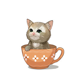 茶杯猫            