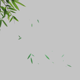 飘落的绿叶