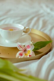 茶饮
