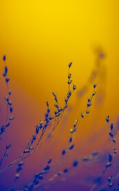 展架背景 