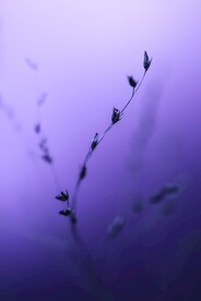 展架背景