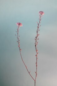 展架背景 