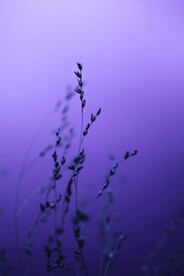 展架背景 