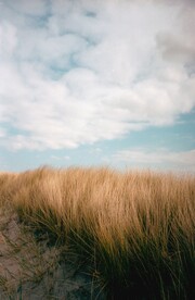 展架背景 