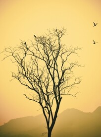 展架背景