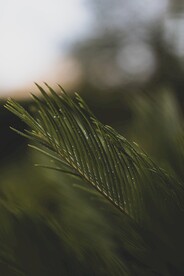 展架背景 