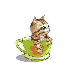 茶杯猫            