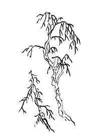 手绘枯树素材
