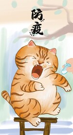 萌主猫            