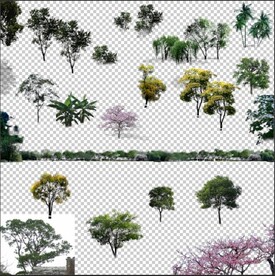 PSD植物后期素材