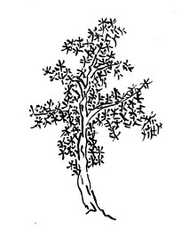 手绘枯树素材