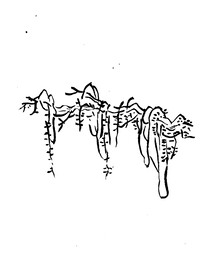手绘枯树素材