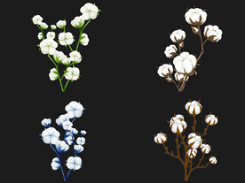 棉花