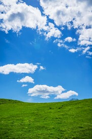 天空草地