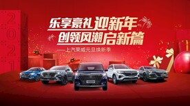 元旦汽车团购会