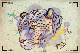 手绘卡通动物图片