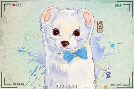 手绘卡通动物图片