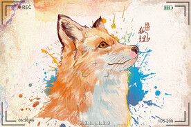 手绘卡通动物图片