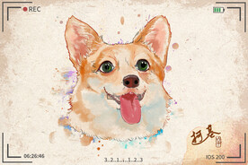 手绘卡通动物图片