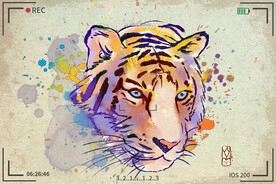 手绘卡通动物图片