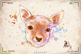 手绘卡通动物图片