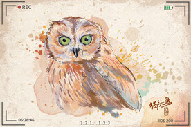 手绘卡通动物图片