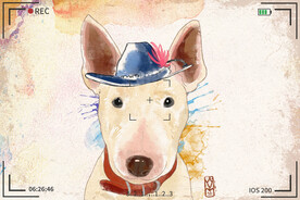 手绘卡通动物图片