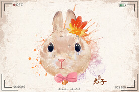 手绘卡通动物图片