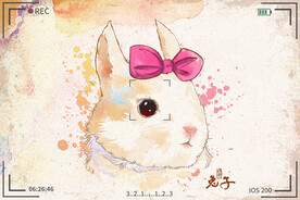 手绘卡通动物图片