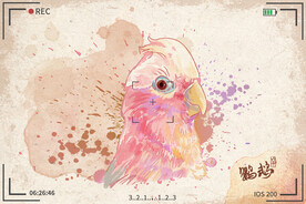 手绘卡通动物图片