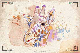 手绘卡通动物图片