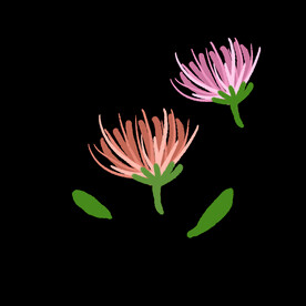 插画小元素点缀花