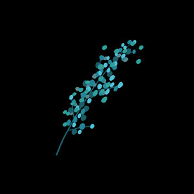 插画小元素植物