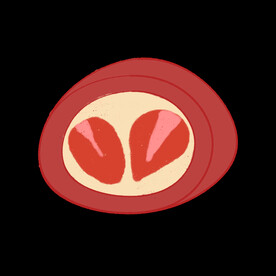 插画小元素草莓蛋糕