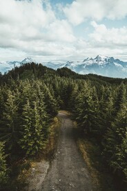 森林雪山