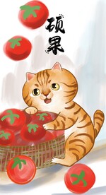 萌主猫            