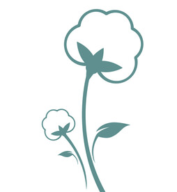 棉花