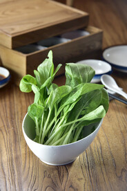 鸡毛菜