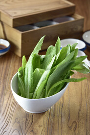 油麦菜