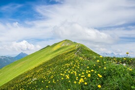 春天山川壁纸