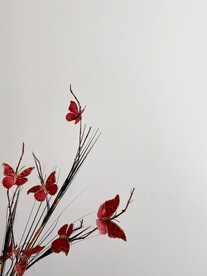 鲜花背景 