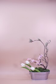 鲜花背景 