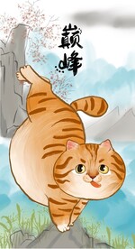  萌主猫           